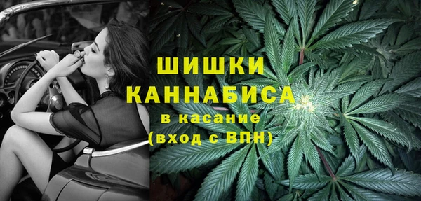 ALPHA PVP Бородино