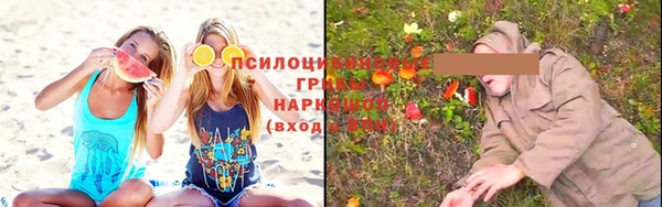 ALPHA PVP Бородино